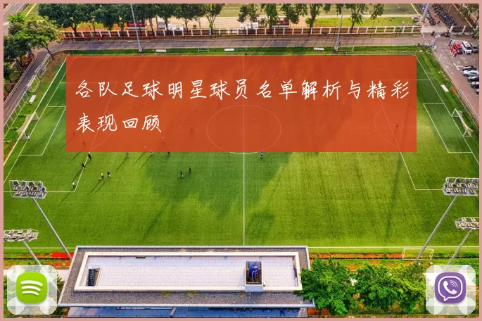 各队足球明星球员名单解析与精彩表现回顾
