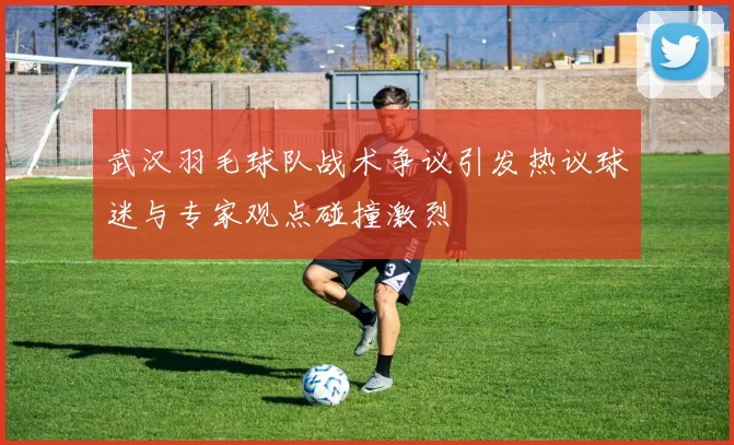 武汉羽毛球队战术争议引发热议球迷与专家观点碰撞激烈