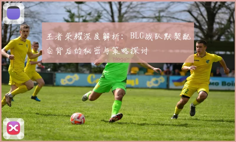 王者荣耀深度解析：BLG战队默契配合背后的秘密与策略探讨