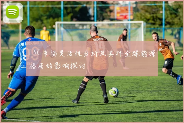 LNG市场灵活性分析及其对全球能源格局的影响探讨
