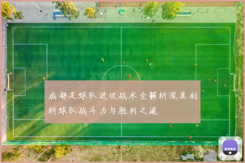 成都足球队进攻战术全解析深度剖析球队战斗力与胜利之道