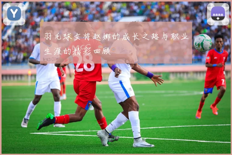 羽毛球女将赵娜的成长之路与职业生涯的精彩回顾