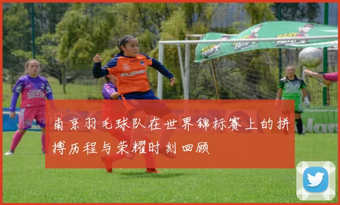 南京羽毛球队在世界锦标赛上的拼搏历程与荣耀时刻回顾