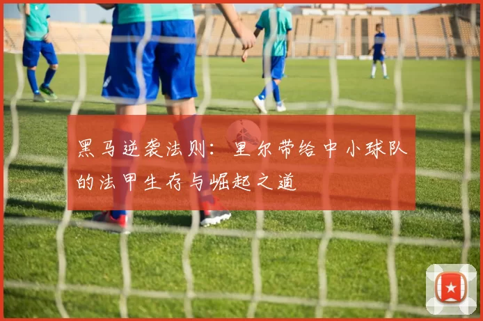 黑马逆袭法则：里尔带给中小球队的法甲生存与崛起之道