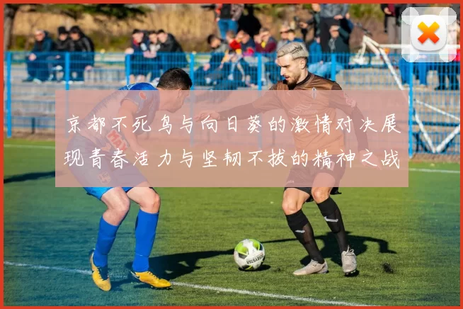 京都不死鸟与向日葵的激情对决展现青春活力与坚韧不拔的精神之战