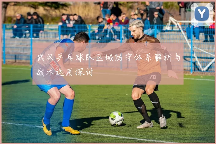 武汉乒乓球队区域防守体系解析与战术运用探讨