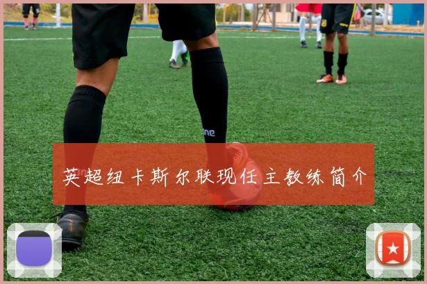 英超纽卡斯尔联现任主教练简介