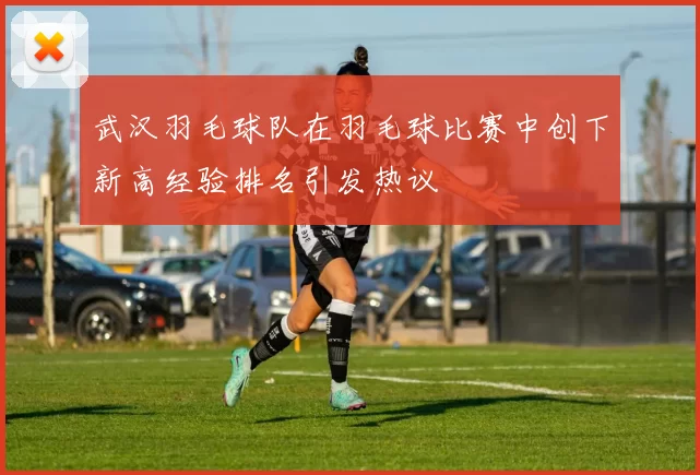 武汉羽毛球队在羽毛球比赛中创下新高经验排名引发热议