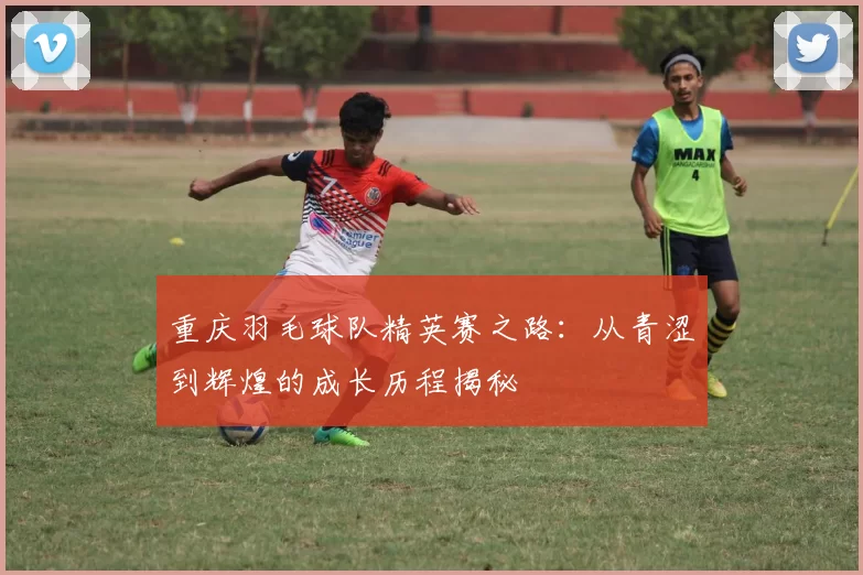 重庆羽毛球队精英赛之路：从青涩到辉煌的成长历程揭秘