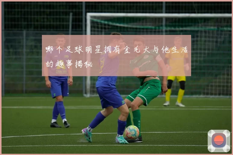 哪个足球明星拥有金毛犬与他生活的趣事揭秘