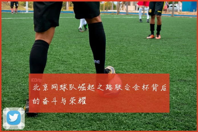 北京网球队崛起之路联合会杯背后的奋斗与荣耀