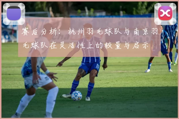 赛后分析：杭州羽毛球队与南京羽毛球队在灵活性上的较量与启示