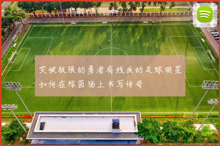 突破极限的勇者有残疾的足球明星如何在绿茵场上书写传奇