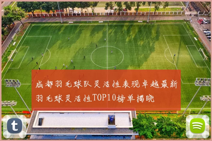 成都羽毛球队灵活性表现卓越最新羽毛球灵活性TOP10榜单揭晓