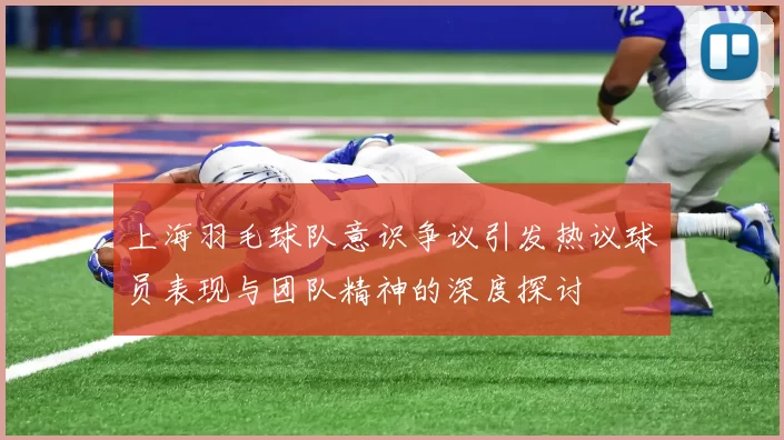 上海羽毛球队意识争议引发热议球员表现与团队精神的深度探讨