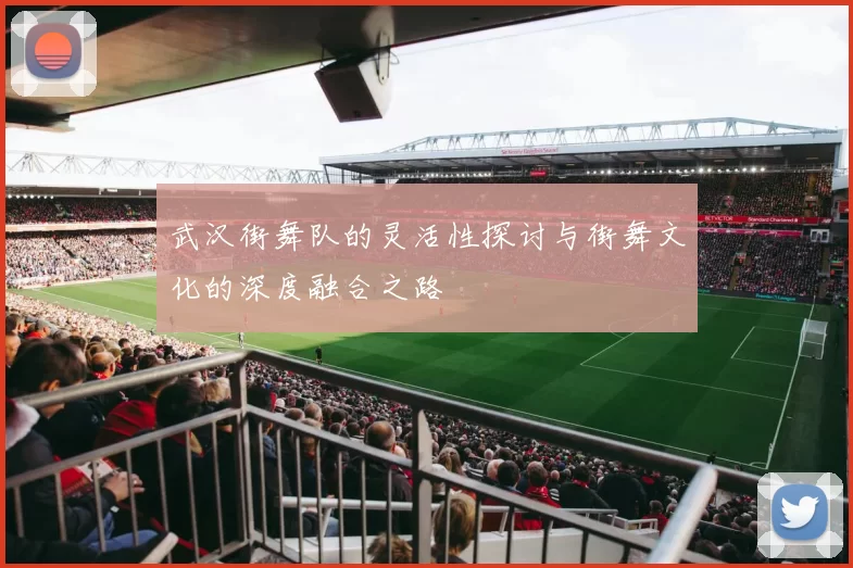 武汉街舞队的灵活性探讨与街舞文化的深度融合之路
