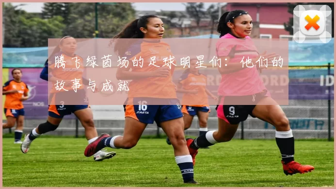 腾飞绿茵场的足球明星们：他们的故事与成就