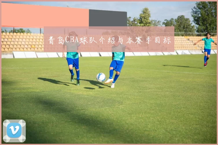 青岛CBA球队介绍与本赛季目标
